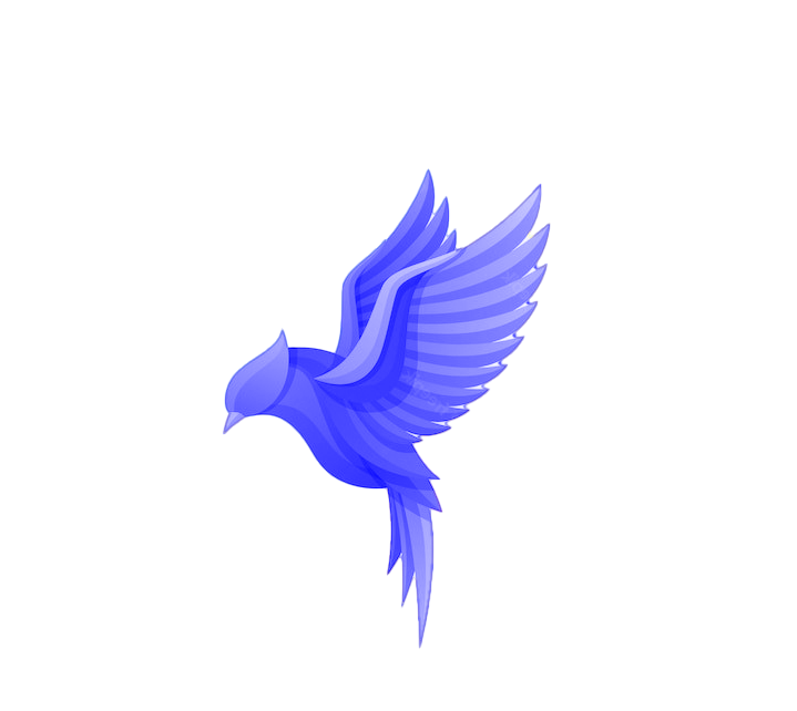 E-commerce Website